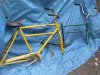 Yellow Green Trailmate.jpg
