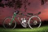 10-24-10 Fishing Bike 216sm.jpg