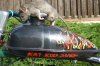 10-24-10 Fishing Bike 055sm.jpg