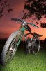 10-24-10 Fishing Bike 215sm.jpg
