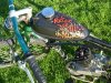 09-19-10 Board Bike 195sm.jpg