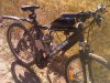 bike2010.jpg