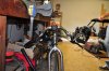 DSC_0236.JPG
