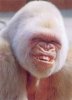 smile.jpg
