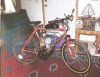 Copy of mountain bike.jpg