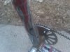 IMG_20110408_193625.jpg