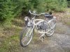 Silver Bear 51A.JPG