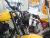 NortherTools Headlight.jpg
