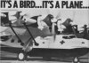 PBY.jpg