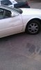 user30296_pic1346_1305070598.jpg