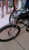 user30296_pic1345_1305070598.jpg