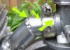 voids carby GEDC0331.JPG