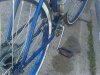 IMG_20110521_105150.jpg