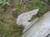 DSC04060.JPG