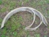DSC04061.JPG