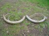 DSC04063.JPG