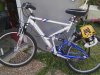 mynewmotorbike.jpg
