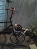 0602012042a.jpg