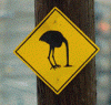 ostrich-head-in-sand-sign.gif