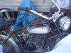 DSC04185.JPG
