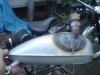 DSC04194.JPG
