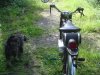 DSC04219.JPG