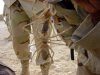 Texas Brown Recluse Spider.jpg