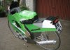 13745_large.jpg
