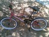 Diamond Back Bike used.jpg