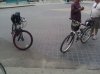 IMG_20110918_101419.jpg