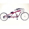 Tandem for one.jpg