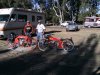 36076_1502497293894_1578085524_1179484_2282256_n.jpg