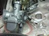 thumper 021.JPG