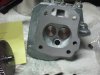 thumper 020.JPG