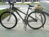 IMG00989-20111011-1643.jpg
