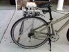 IMG00990-20111011-1644.jpg
