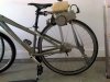 IMG00997-20111015-1250.jpg
