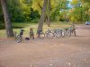 Bike Ride, Fall 2011,  1.JPG