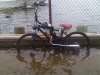 IMG00337-20100813-1023.JPG