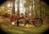 Motorbike photo 10-31-11-1024.jpg