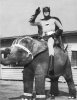enhanced-buzz-20096-1320354504-6.jpg