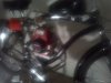 676A0198.JPG