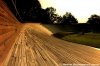track2.jpg