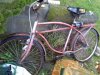 downsized_1118111637.jpg