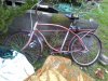 downsized_1118111634.jpg