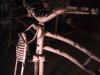 Hiawatha WF 2 002.jpg