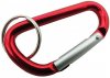 carabiner.jpg