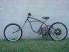 Schwinn+Custom+48V.jpg