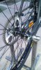 IMAG0016 (2)_Converted.jpg