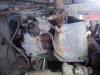 downsized_0205121701.jpg